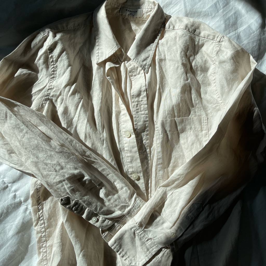 Aritzia Babaton Button Down